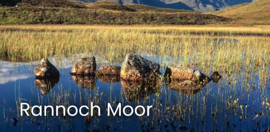 Rannoch Moor