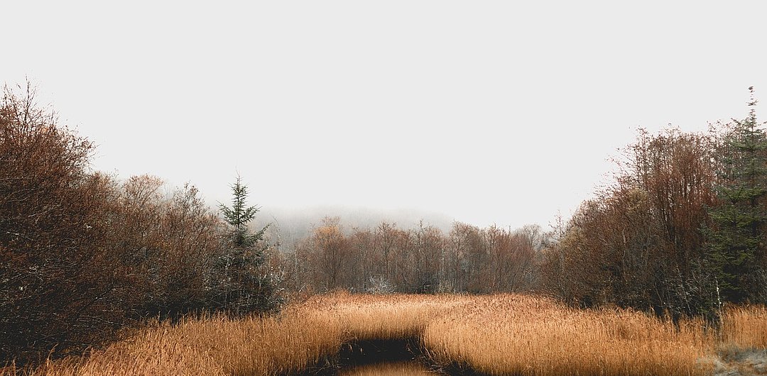 Rannoch Moor